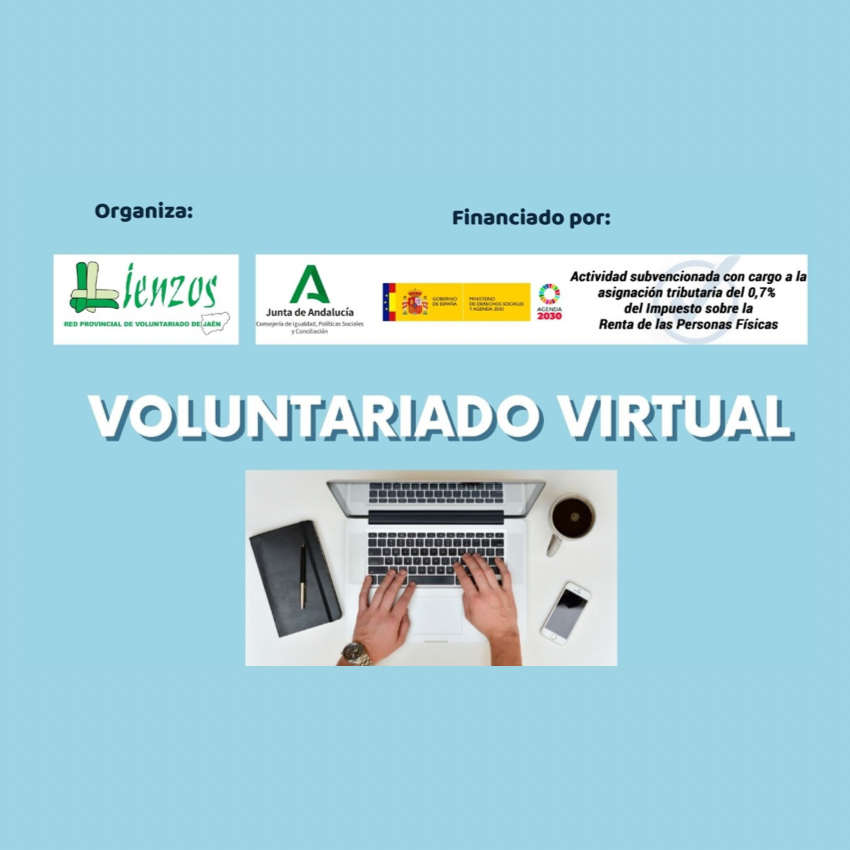TALLER: Voluntariado Virtual